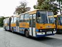 Zala_BRN-287.JPG